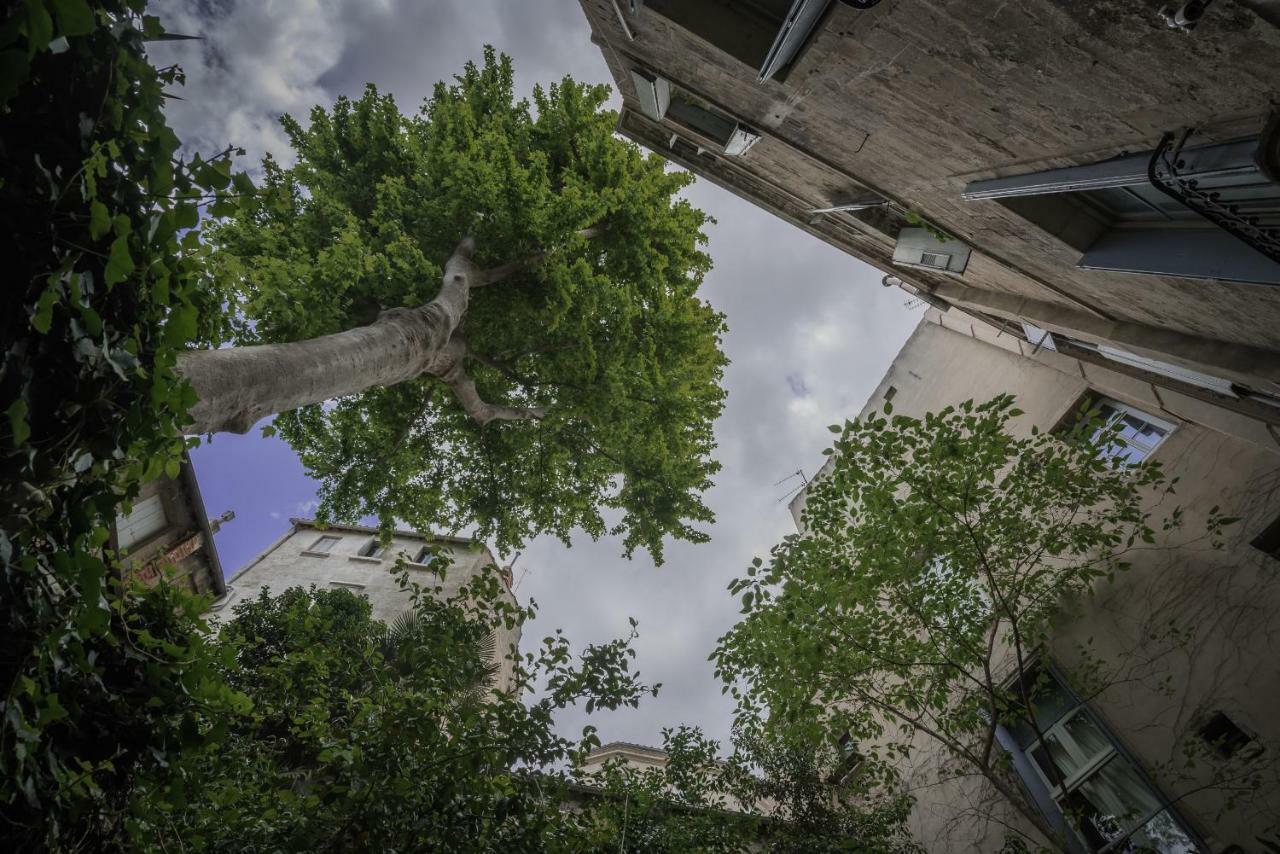 Les Jardins De L'Ecusson - Premiere Conciergerie Apartment มงต์เปอลิเยร์ ภายนอก รูปภาพ
